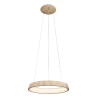 OML-48603-50 Подвесной светильник Omnilux Neoneli OML-48603-50