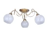 OML-24907-03 Потолочная люстра Omnilux 249 OML-24907-03