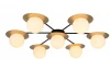 3050-7P Потолочная люстра F-Promo Roshni 3050-7P