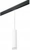 PRORP49630 Трековый светильник однофазный 220V Lightstar Rullo PRORP49630 (круглые)