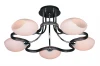 OML-26927-05 Потолочная люстра Omnilux Verona OML-26927-05