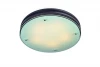 OML-40307-05 Потолочный светильник Omnilux Caminha OML-40307-05