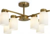 FR5446PL-06BS Потолочная люстра на штанге Freya Kamelia FR5446PL-06BS (220V)