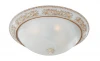 1446-4C Потолочный светильник Favourite Plafond 1446-4C