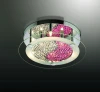 2219/6C Потолочный светильник Odeon Light Sabra 2219/6C