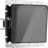 W1171244 Розетка с заземлением с защит. крышкой и шторками (графит акрил) Werkel W1171244 (a064092)