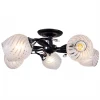 MD.0509-5-S BK+CH Потолочная люстра Imex MD.0509-5-S BK+CH
