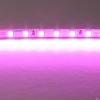 420512 Светодиодная лента цветного свечения 24V, розовый Lightstar 420512