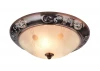 A3014PL-2AB Потолочный светильник Arte Lamp Alta A3014PL-2AB