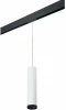 PRORP4963437 Трековый светильник однофазный 220V Lightstar Rullo PRORP4963437 (круглые)