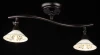 ECO002-02-R Спот Maytoni Spot 2 ECO002-02-R