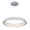 OML-48613-50 Подвесной светильник Omnilux Neoneli OML-48613-50