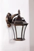91302L Настенный фонарь уличный Oasis Light Astoria 1 L Bg 91302L
