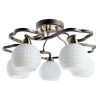 A6379PL-5GA Потолочная люстра Arte Lamp Lana A6379PL-5GA