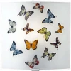 105435 Настенный светильник Markslojd Butterfly 105435