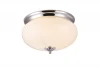 A3560PL-2CC Потолочный светильник Arte Lamp Armstrong A3560PL-2CC