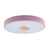 10003/24 Pink Потолочный светильник Loft IT Axel 10003/24 Pink