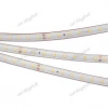 024529 Светодиодная лента Arlight RTW 2-5000PS 024529
