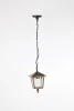 15905S Уличный светильник подвесной Oasis Light Praga 15905S