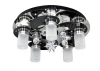 OML-17907-06 Потолочный светильник Omnilux OML-179 OML-17907-06