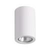 3553/1C Накладной точечный светильник Odeon Light Gips 3553/1C