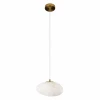 10531C Подвесной светильник Loft It Fionora 10531C