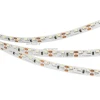 024451 Светодиодная лента Arlight RS 024451