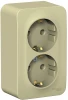 BLNRA010217 Розетка накладная двойная с заземлением (бежевый) Systeme Electric Blanca BLNRA010217