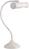 A5023LT-1WG Интерьерная настольная лампа Arte Lamp Picture Lights Basic A5023LT-1WG