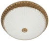 CL425504 Потолочный светильник Citilux Тренди-4 CL425504