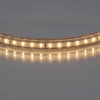 402032 Светодиодная лента Lightstar 402032