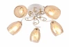 1116/5C Потолочная люстра J-Light Lossy 1116/5C