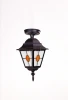 79905MAlgY Bl Потолочный светильник уличный Oasis Light QUADRO M lead GLASS 79905MAlgY Bl (220V, фонарь, IP44)