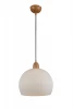 SL287.703.01 Подвесной светильник ST Luce SL287.703.01