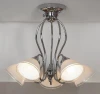 LSF-2003-05 Потолочная люстра Lussole Olmedo LSF-2003-05