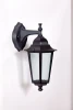 79802S Bl Настенный фонарь уличный Oasis Light 79802S Bl (220V, IP44)