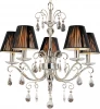 A3840LM-5CC Подвесная люстра Arte Lamp Raffaella A3840LM-5CC