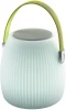 2128-1T Интерьерная настольная лампа Favourite Speaker 2128-1T