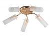 TL7130X-05FG Потолочная люстра Toplight Brittany TL7130X-05FG