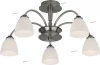 P-805/5 satin chrome Потолочная люстра N-Light P-805 P-805/5 satin chrome