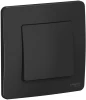 BLNVS010606 Выключатель встраиваемый одноклавишный (антрацит) Systeme Electric Blanca BLNVS010606