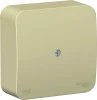 BLNRK000017 Распределительная коробка (бежевый) IP42 Systeme Electric Blanca BLNRK000017