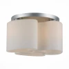 SL545.502.03 Потолочный светильник ST Luce Ondata SL545.502.03