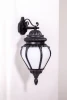 89502L Bl Настенный фонарь уличный Oasis Light 89502L Bl