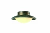 A9256PL-1BG Потолочный светильник Arte Lamp Ferrico A9256PL-1BG