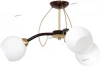 0078 Luminex Tesa 0078