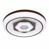 2456-5C Потолочный светильник F-Promo Lamellar 2456-5C