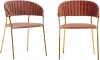 FR 0161P Комплект из 2-х стульев Turin пудровый с золотыми ножками Bradexhome арт.FR 0161P