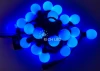 RL-S5-20C-40B-B/B Гирлянда светодиодная синяя постоянного свечения 220B, 20 LED, провод черный, IP65 RL-S5-20C-40B-B/B Rich LED