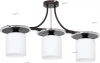 6050 Luminex Fort 6050